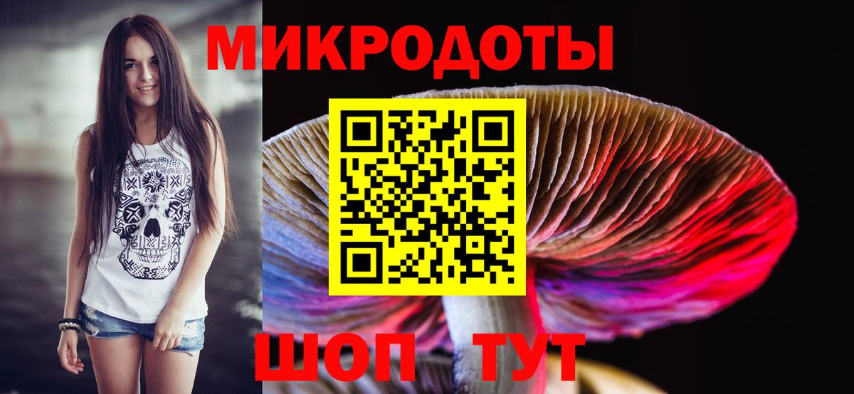 Галлюциногенные грибы Cubensis Урюпинск