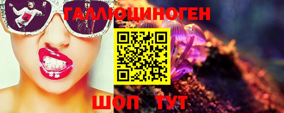 Псилоцибиновые грибы прущие грибы  Вход с VPN  Урюпинск 